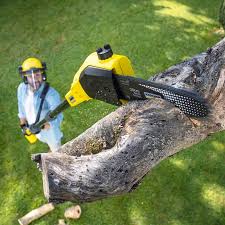 Best Aeration Services  in Gatesville, TX